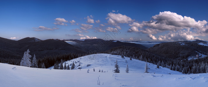 大清晨冬山全景有雪覆盖的树木喀尔巴阡山乌克兰图片