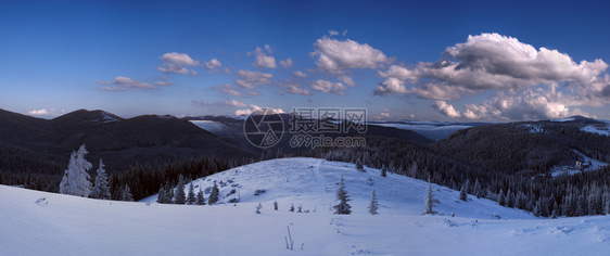 大清晨冬山全景有雪覆盖的树木喀尔巴阡山乌克兰图片