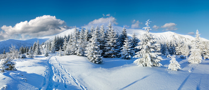 冬季平静的山地景观图片