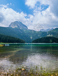 黑湖Crnojezero夏季景观黑山扎布尔雅克市Durmitor人是不可辨认的图片