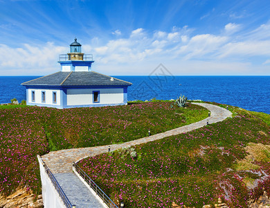 夏季海洋岛屿Pancha海岸线景观有灯塔和粉红色花朵西班牙图片