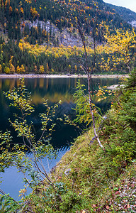 Gossauseen或VordererGosausee湖上奥地利山湖的秋天风景多姿彩水和反射清晰透明图片