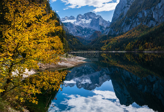 温和的多姿彩秋天风景和平的山湖水反射清晰透明Gosauseen或VordererGosausee湖上奥地利Dachstein峰顶图片