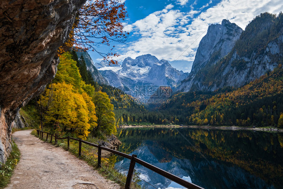 温和的多姿彩秋天风景和平的山湖水反射清晰透明Gosauseen或VordererGosausee湖上奥地利Dachstein峰顶图片