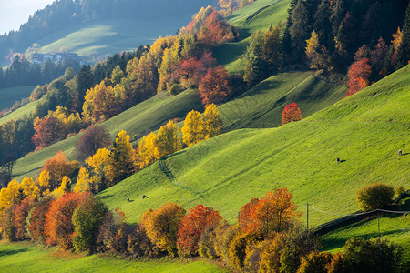 意大利多洛米人山村周边丘照片流逝季节和乡村美貌概念背景图片