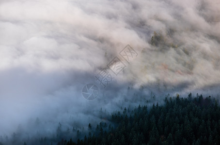 秋天阿尔卑斯山雾般的清晨景象来自JennerViewing平台SchonauamKonigsseeBavaria德国图片旅行季节图片