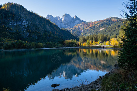 温和的多姿彩秋天风景和平的山湖水反射清晰透明Gosauseen或VordererGosausee湖上奥地利Dachstein峰顶图片