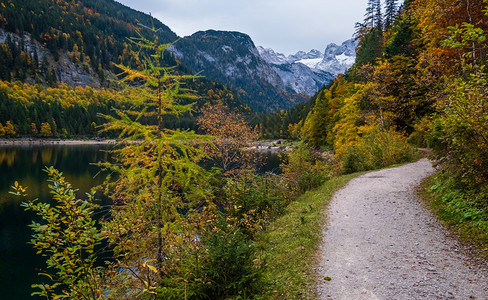 上奥地利州Gossauseen或VordererGosausee湖山的秋天风景多姿彩水和反射清晰透明达赫斯坦峰顶和远处的冰川图片