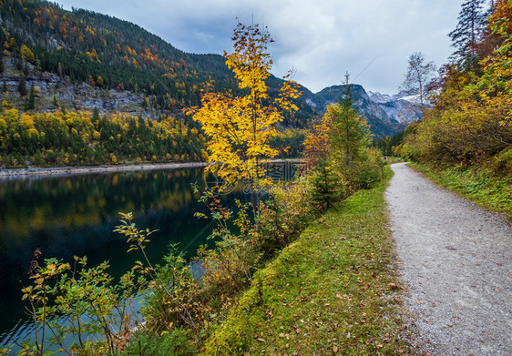 上奥地利州Gossauseen或VordererGosausee湖山的秋天风景多姿彩水和反射清晰透明达赫斯坦峰顶和远处的冰川图片