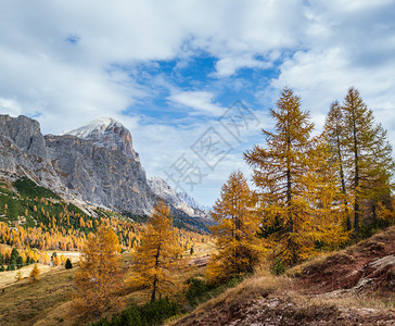 阳光多彩的秋天高山洛米特岩景意大利苏季罗尔Falzarego路的和平景象图片穿梭季节自然和乡村美容概念场景图片