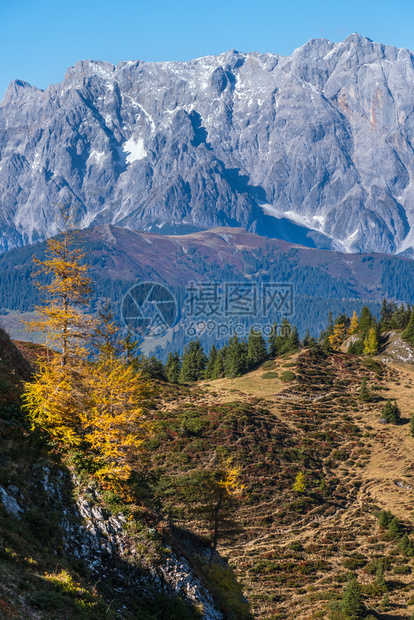 阿尔卑斯山从多夫加坦到帕阿尔肯湖的徒步之路奥地利萨尔茨堡图画式的徒步季节自然的美丽概念场景图片