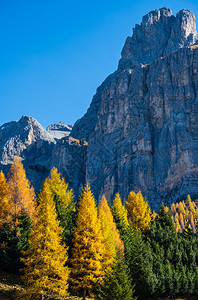 秋天高山多洛米景意大利苏斯蒂罗尔花园口附近的和平景象摄影旅行季节自然和农村美貌概念场景图片