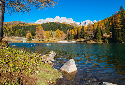 在秋天的阿尔卑斯山池中在离意大利圣佩莱格里诺山口不远的地方TrentinoDolomitesAlps意大利CimaUomo岩石群图片
