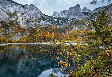 上奥地利州HintererGosausee湖的图片山秋天风景多姿彩水和反射清晰透明达赫斯坦峰顶和远处的冰川图片