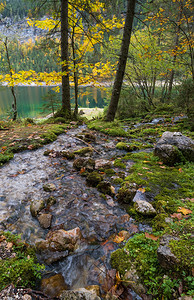 阳光明媚多彩的秋天高山风景和平的湖有清晰透明的水和反射戈索森或上奥地利州VordererGosausee湖图片