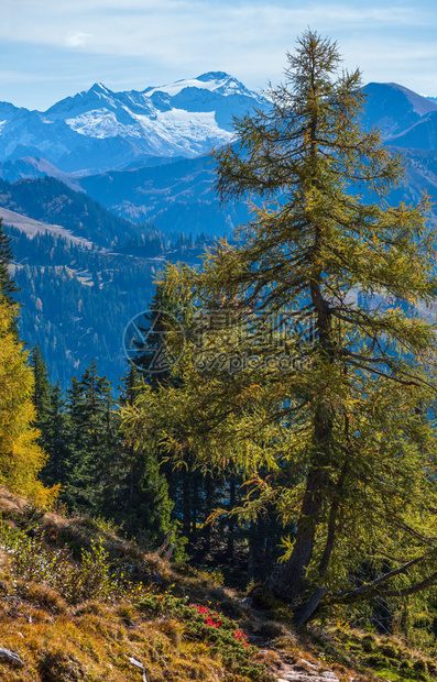 阿尔卑斯山从多夫加坦到帕阿尔肯湖的徒步之路奥地利萨尔茨堡图画式的徒步季节自然的美丽概念场景图片