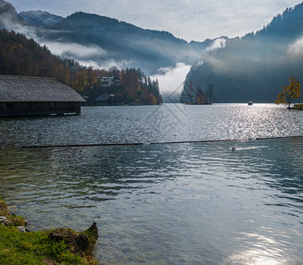 高山秋日雾蒙蒙的科尼格西湖科尼格西山贝赫特斯加登公园巴伐利亚州德国风景如画的旅游季节和自然美景的概念场景图片