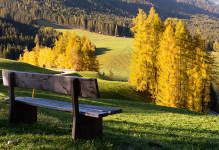 秋天在圣马格达莱纳市著名的意大利多洛米特山村周边丘上打木板图片