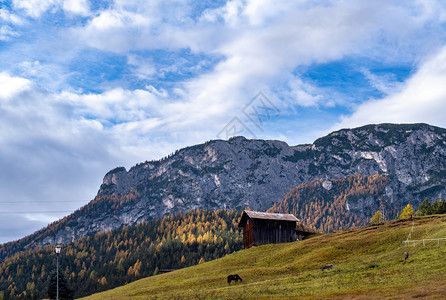 太阳般多彩的秋天高山洛米特岩景意大利苏斯蒂罗尔高山路的和平景象图片穿梭季节自然和农村美貌概念场景图片