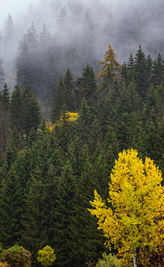 风云和雾的秋天高山景点奥地利LienzerDolomiten阿尔卑斯山和平景象旅行季节自然和农村美貌概念场景背景图片