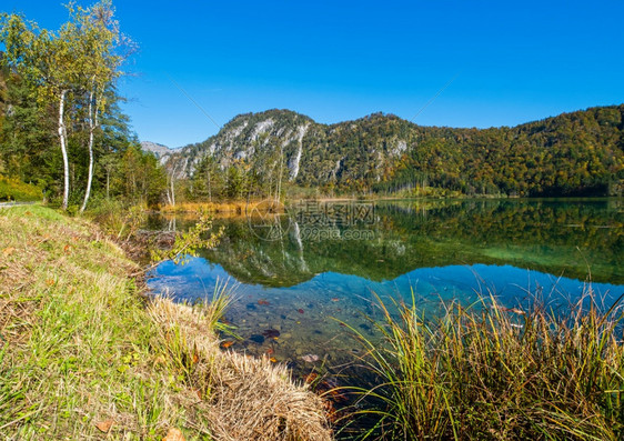 阳光明媚多彩的秋天风景和平的山湖有清晰透明的水和反射图片