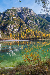 Durrensee或LagodiLandro的秋天和平阿尔卑斯山湖后面是Cristallo岩石山群多洛米特人意大利欧洲图片旅行季图片