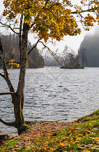 高山秋日雾蒙蒙的科尼格西湖科尼格西山贝赫特斯加登公园巴伐利亚州德国风景如画的旅游季节和自然美景的概念场景图片
