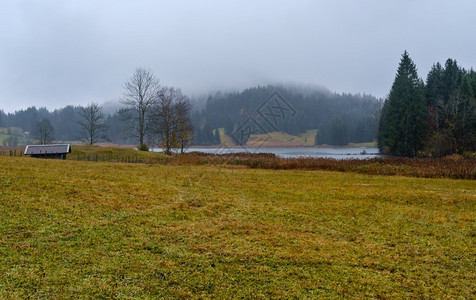 AlpineLakeGeroldee或WagenbruuchseeBavaria德国巴伐利亚秋天雾和细雨的一天图片穿梭季节天气农图片