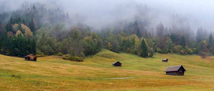 德国巴伐利亚州Geroldee湖或Wagenbruuchsee湖附近的阿尔卑斯山草原秋天雾和冲雨日图片穿梭季节天气和农村自然美观图片