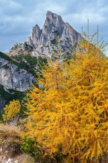 秋天多姿彩的阿尔卑斯山意大利苏格罗FalzaregoPass的和平景象图片旅行季节自然和农村美貌概念场景图片