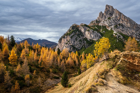 秋天多姿彩的阿尔卑斯山意大利苏格罗FalzaregoPass的和平景象图片旅行季节自然和农村美貌概念场景图片