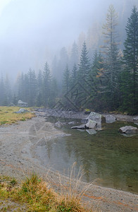 AlpineElisabethSee在奥地利米特瑟尔的Amerbach河干涸的小湖上秋天雾和冲雨日图片穿梭季节天气和自然美景概念图片