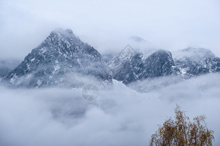 横扫秋天高山风景通过雾云覆盖山上硅片气候环境和天概念的空背景图片