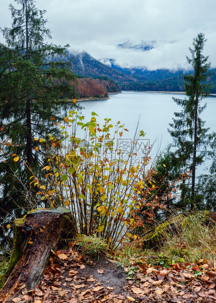 AlpineSylvensteinStausee湖位于德国巴伐利亚的伊萨河上秋天横扫雾和细雨日图片穿梭季节天气和自然美景概念场图片