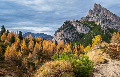 秋天多姿彩的阿尔卑斯山意大利苏格罗FalzaregoPass的和平景象图片旅行季节自然和农村美貌概念场景图片