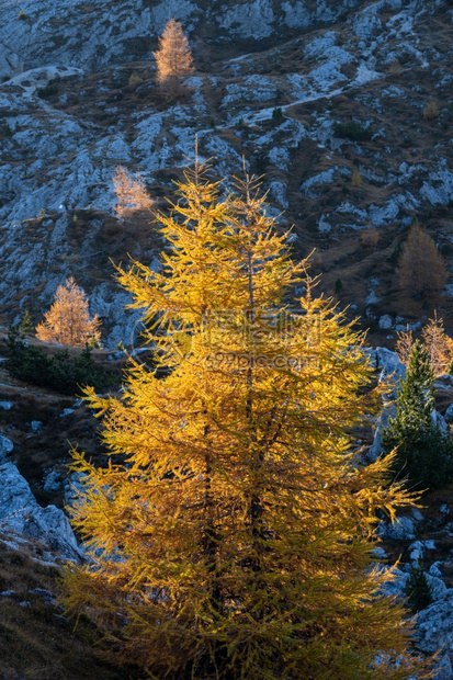 山地高从远足的路上看阿尔卑斯山高地照片穿梭徒步旅行季节和自然美观的场景图片