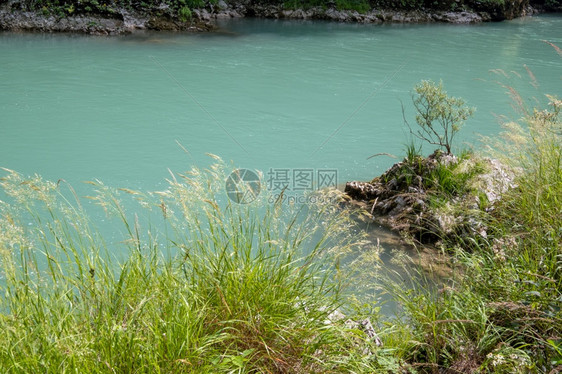 在TaraCanyon黑山河底的夏季风景图片