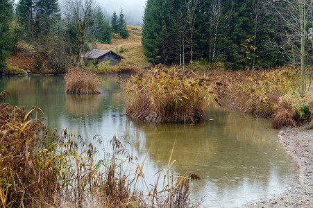 AlpineLakeGeroldee或WagenbruuchseeBavaria德国巴伐利亚秋天雾和细雨的一天图片穿梭季节天气农图片