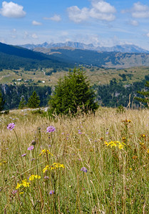 在黑山欧洲巴尔干DinaricAlps教科文组织世界遗产的Durmitor公园的TaraCanyon山附近图片