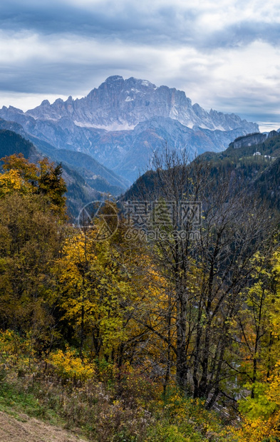 秋天高山白云石景色从意大利贝卢诺的利维纳隆戈德尔科迪拉纳远眺的麝香猫山山顶图片