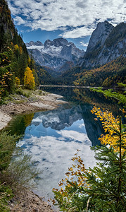 温和的多姿彩秋天风景和平的山湖水反射清晰透明Gosauseen或VordererGosausee湖上奥地利Dachstein峰顶图片