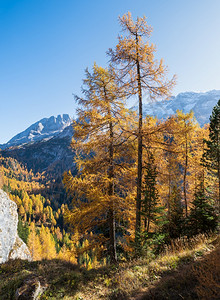 秋天高山多洛密斯景来自意大利特伦蒂诺的费达亚山苏德蒂罗尔照片流逝季节和自然美貌概念场景图片