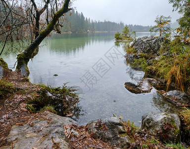 德国乌施兰阿尔卑斯山巴伐利亚阿尔卑斯山高秋天湖Hintersee贝希特斯加登公园德乌茨兰图画旅行季节和自然美容概念场景图片