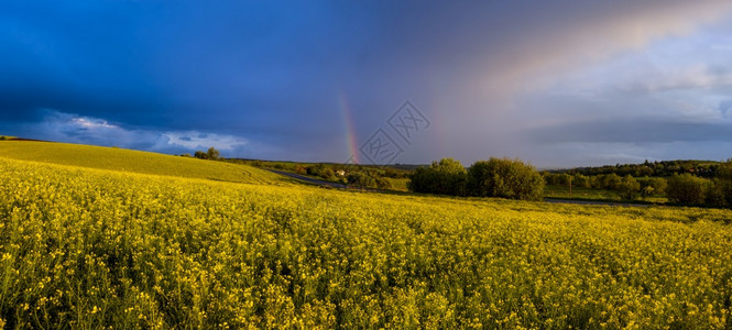 雨夜观风景后的春种菜田有多彩虹和农村山丘的日落前阴云多彩的天空自然季节天气候生态农业村美貌概念图片