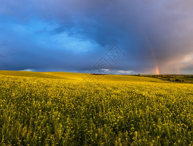 春种和小农田在雨夜景后出现阴云的日落天空彩虹多农村山自然季节天气候生态农业村美貌概念图片