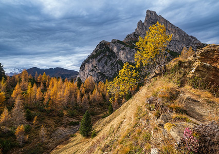 秋天多姿彩的阿尔卑斯山意大利苏格罗Falzarego路的和平景象图片旅行季节自然和乡村美容概念场景图片