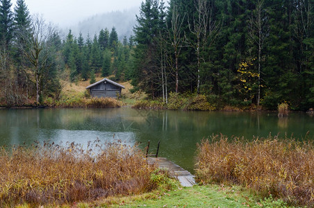 AlpineLakeGeroldee或WagenbruuchseeBavaria德国巴伐利亚秋天雾和细雨的一天图片穿梭季节天气农图片