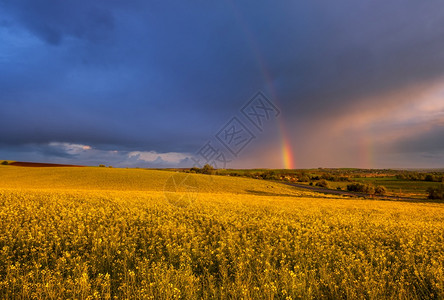 春种和小农田在雨夜风景阴云的日落天空彩虹多和农村山丘之后出现自然季节天气候农业村美貌概念图片