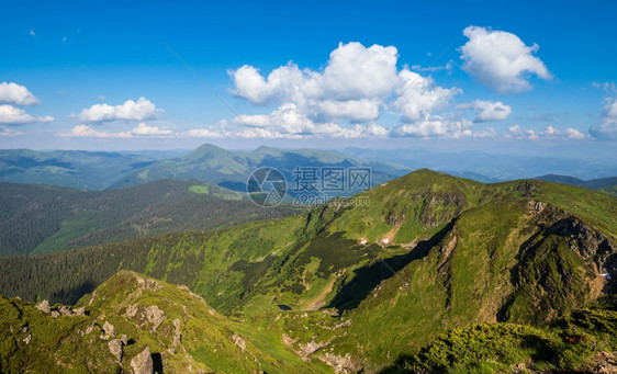 夏季山脊多岩石杜鹃花和矮小的高山松树丛生乌克兰喀尔巴阡山MarmarosPipIvan山图片