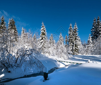 高山雪冬季寒森林带雪流和冰冻的小溪图片